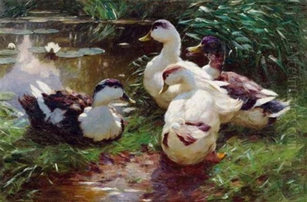 Vier Enten - view 1