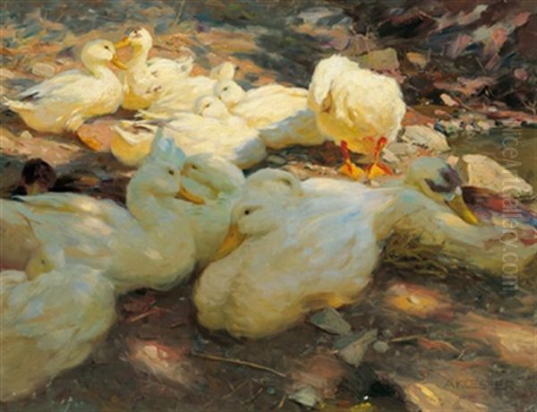 Enten In Der Abendsonne (in Der Mittagssonne) - view 1