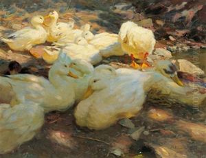Enten In Der Abendsonne (in Der Mittagssonne) by Alexander Max Koester