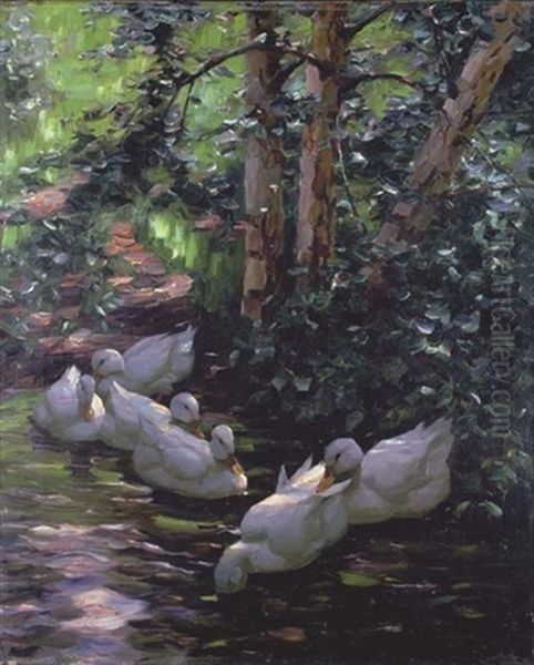 Sechs Enten Im Wasser - Six Ducks In The Water - view 1