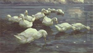 Enten Am Seeufer - Ducks On The Lake Shore by Alexander Max Koester
