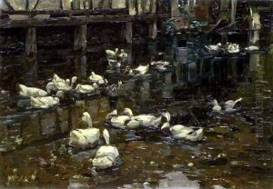 Enten Am Wehr