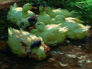 Ruhende Enten