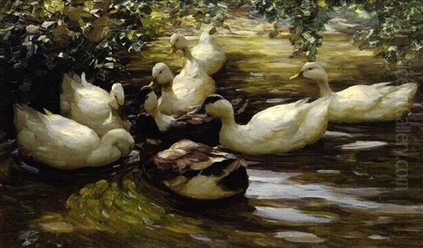 Enten Im Wasser Unter Birken - view 1