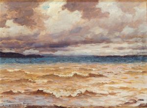Sturm Am Bodensee