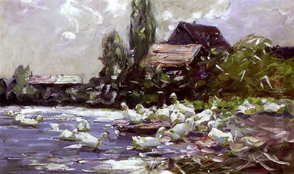 Enten Auf Einem Dorfteich - view 1