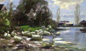 Enten Am Fruhlingshaften Seeufer by Alexander Max Koester