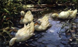 Enten Mit Schilf by Alexander Max Koester