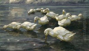 Elf Enten Am Seeufer