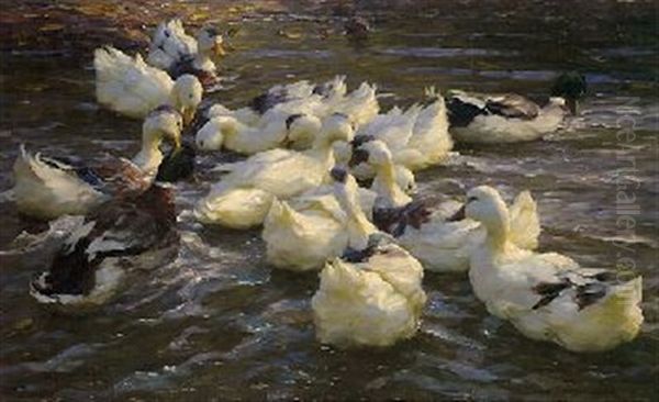 Enten In Den See Gehend - view 1