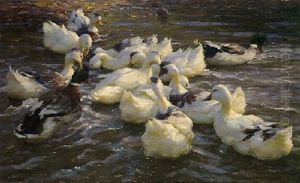 Enten In Den See Gehend