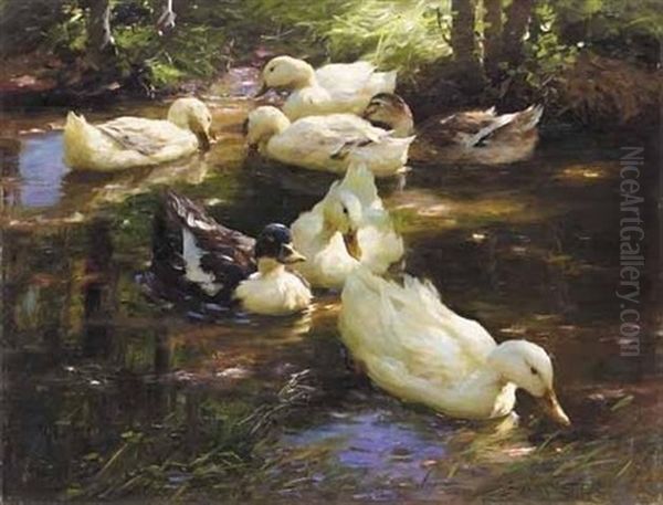 Enten Im Wasser Vor Baumufer (ducks On A Pond) - view 1
