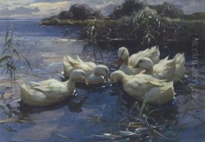 Funf Weise Enten Im Schlifwasser Funf Weise Enten Im Schlifwasser
