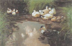 Enten Auf Einem Teich by Alexander Max Koester