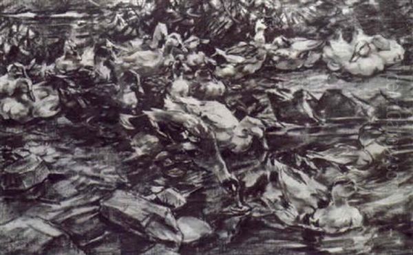 Assemblee De Canards - view 1