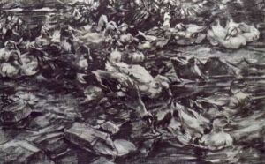 Assemblee De Canards