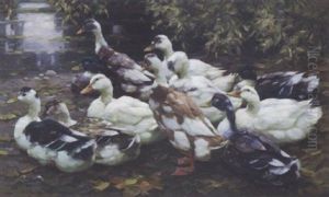 Entengruppe Am Ufer Eines Teiches by Alexander Max Koester