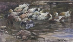 Enten Im Weiher Mit Steinen by Alexander Max Koester