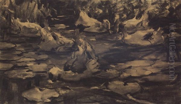 Enten Im See Zwischen Wasserrosen - view 1
