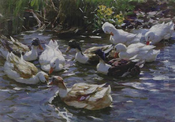 Nine Ducks In The Morning Light by Alexander Max Koester