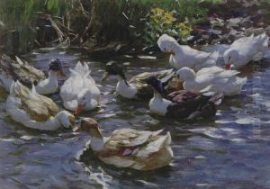 Nine Ducks In The Morning Light by Alexander Max Koester
