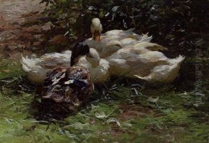 Ducks Resting In The Grass by Alexander Max Koester