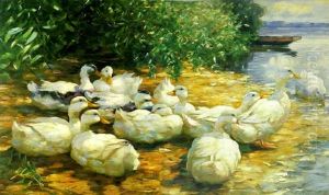 Eleven Ducks Eleven Ducks