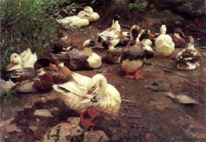 Entenschar Auf Landgang Entenschar Auf Landgang
