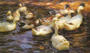 Zwolf Enten Auf Dem Wasser by Alexander Max Koester