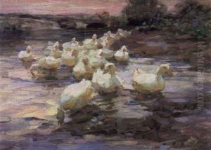 Enten In See Gehend - Abendrot