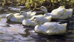 Vier Weise Enten Auf Dem Wasser