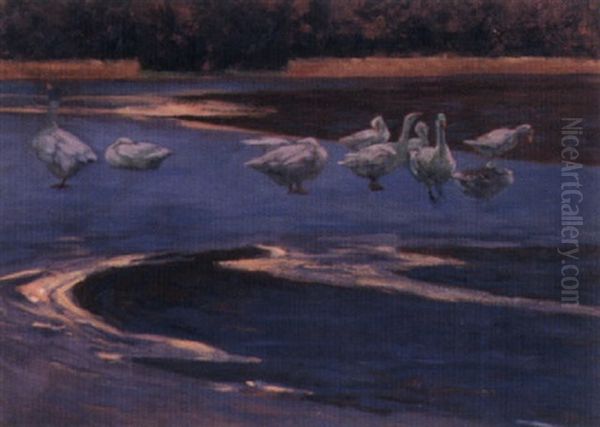 Ducks At A Stream - view 1