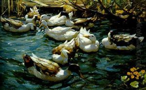 Enten In Schilfwasser Unter Asten