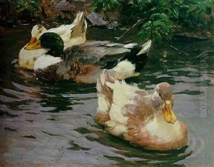 Drei Enten Nahe Dem Ufer