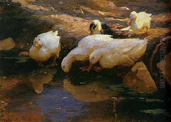 Funf Enten Am Wasser - view 1