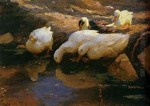 Funf Enten Am Wasser by Alexander Max Koester