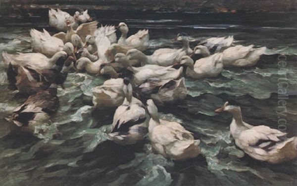 Dreiundzwanzig Enten Am Wasser - view 1