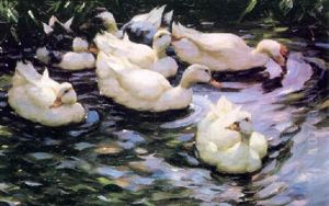 Ducks Swimming In A Sunlit Lake Ducks Swimming In A Sunlit Lake