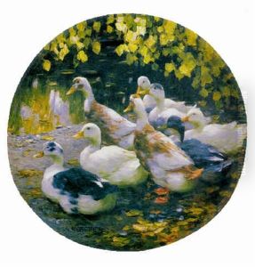 Acht Enten Am Ufer