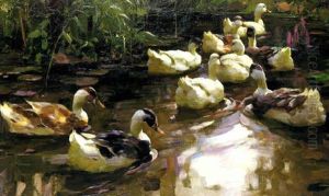 Entenzug Auf Einem Teich Entenzug Auf Einem Teich