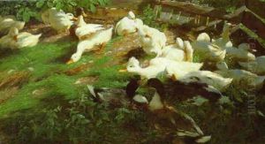 Entenschwarm An Einem Wiesenhang Entenschwarm An Einem Wiesenhang