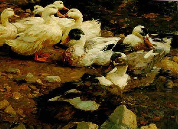 Neun Enten - view 1