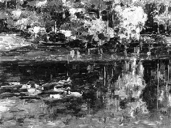 Enten Auf Einem Waldweiher - view 1