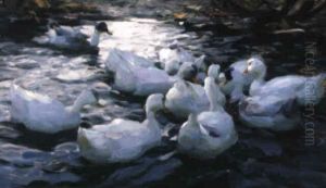 Zehn Weise Enten Auf Dem Wasser Zehn Weise Enten Auf Dem Wasser