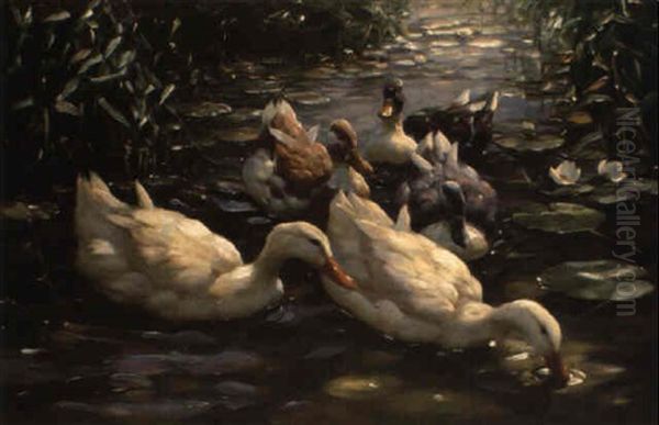 Funf Enten Im Seerosenteich - view 1