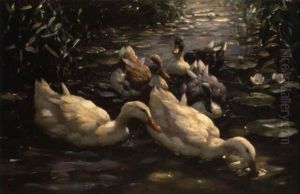 Funf Enten Im Seerosenteich by Alexander Max Koester