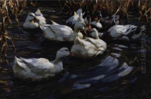 Die Enten In Die Marsch Die Enten In Die Marsch