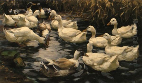 Enten Im Schilfteich, Diesen - view 1