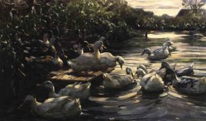 Enten Am Steg by Alexander Max Koester