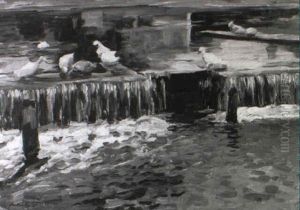 Wehr Mit Enten Bei Hard Am Bodensee